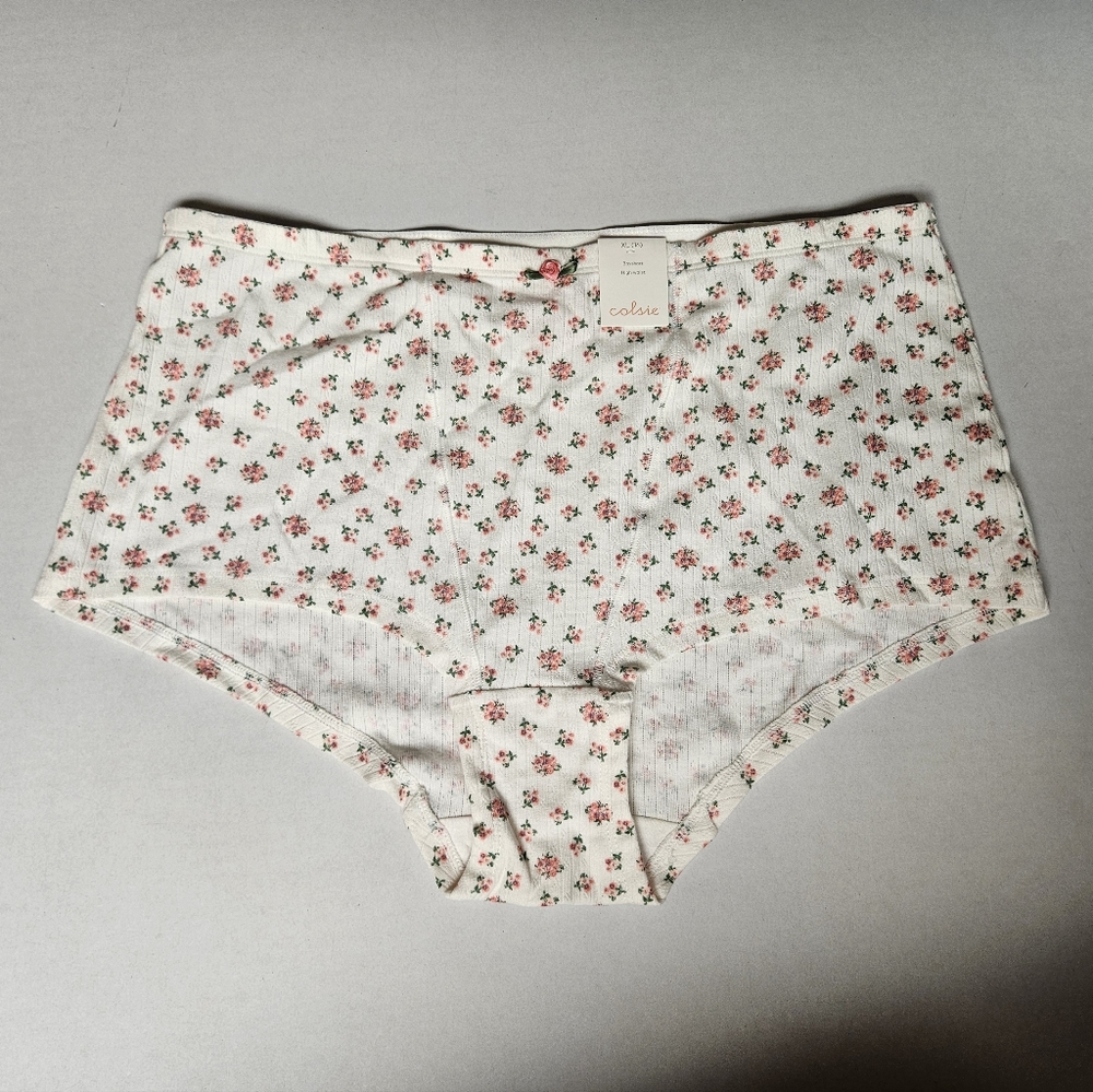 Colsie Floral‎ Print Women's Briefs Size XL
